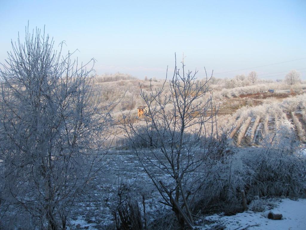 Agriturismo Cascina Ponchietta Montà Buitenkant foto